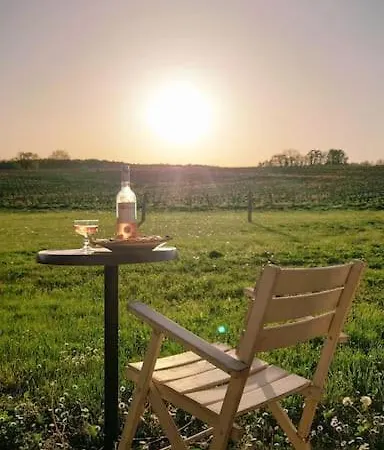Entre Pierre Et Vigne - Charming Former Winery With Hot Tub & Swimming Pool