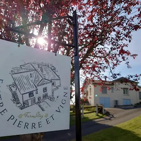 Entre Pierre Et Vigne - Charming Former Winery With Hot Tub & Swimming Pool