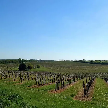 Holiday home Entre Pierre Et Vigne - Charming Former Winery With Hot Tub & Swimming Pool