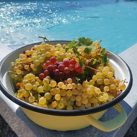 Holiday home Entre Pierre Et Vigne - Charming Former Winery With Hot Tub & Swimming Pool *